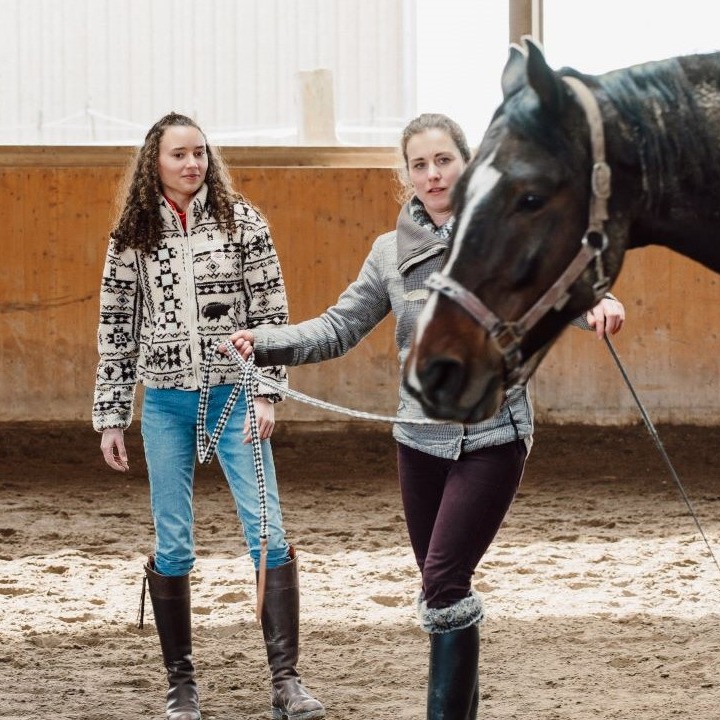 Körpersprache und Kommunikation mit den Pferd